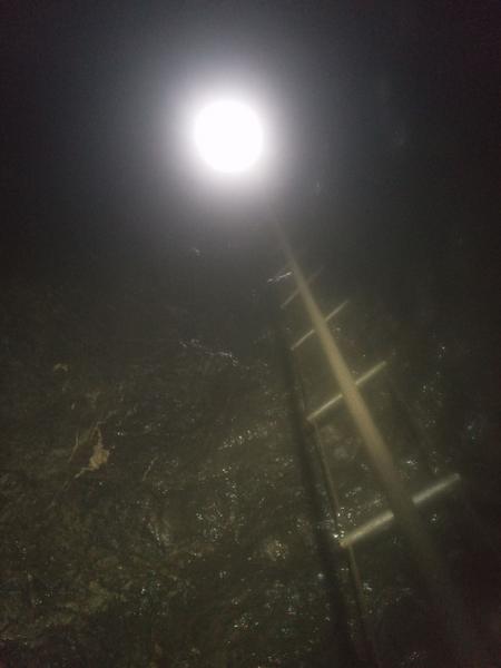 Thumbnail of photo from this article